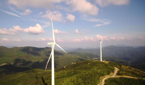 風力發電的爭議 歐美拆除與我國大力發展的背后邏輯